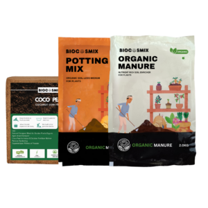 Home Garden Starter Kit Combo